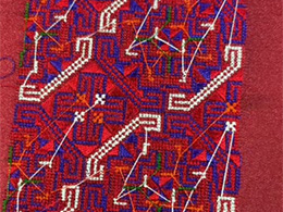 2026������廨����Ƶ13